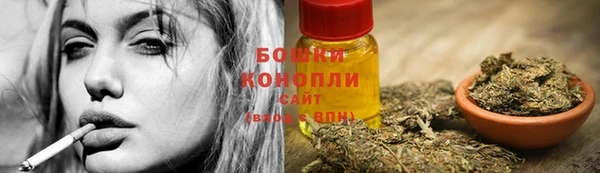2c-b Вяземский
