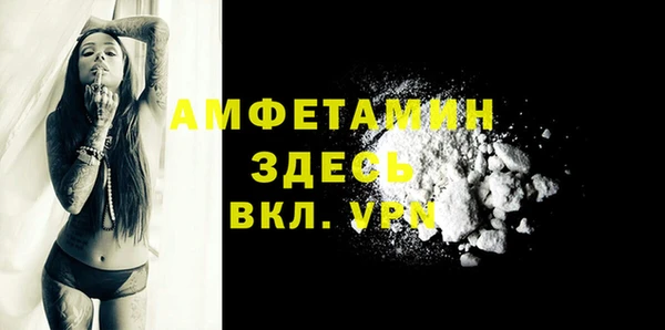 прущие грибы Сафоново