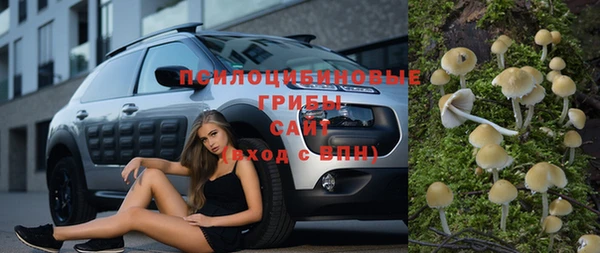 шишки Саяногорск