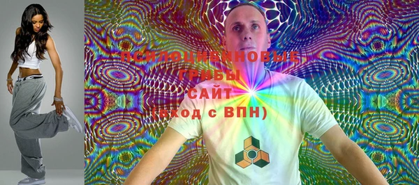 шишки Саяногорск