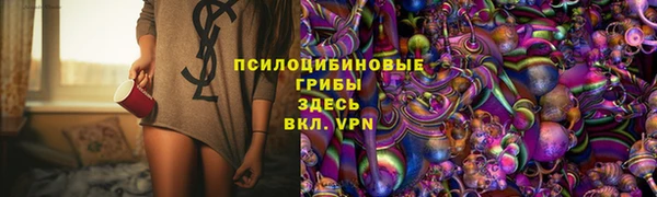 прущий лед Вязники